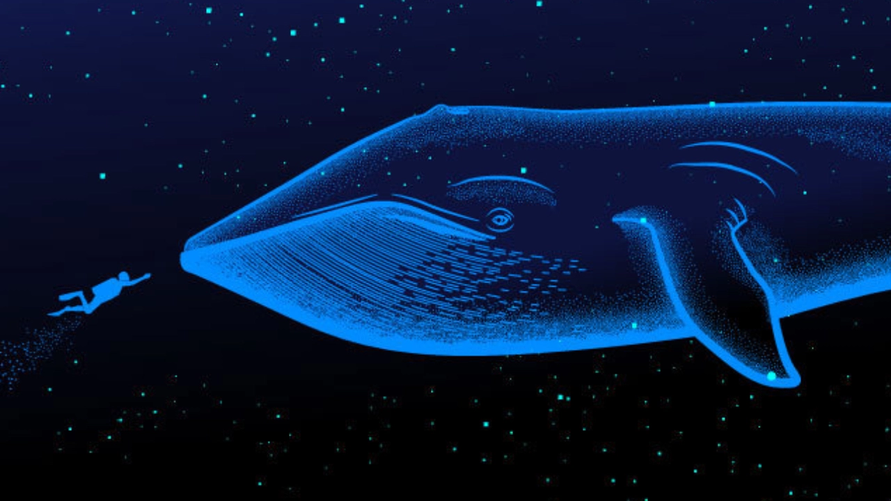 نهنگ ارز دیجیتال چیست؟